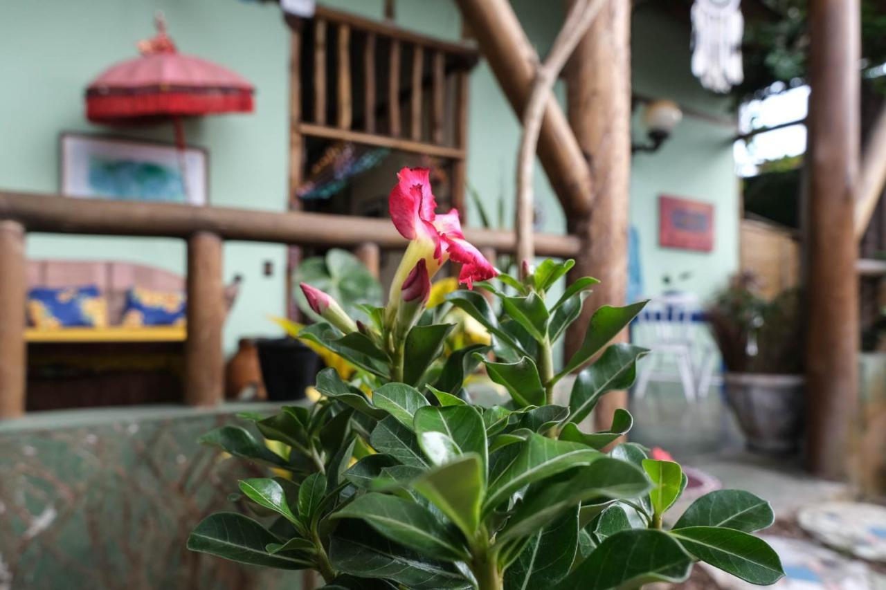 Velinn Pousada Gaia Gardens ปาราตี ภายนอก รูปภาพ